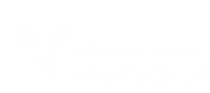 http://www.skandynawskieinspiracje.pl/