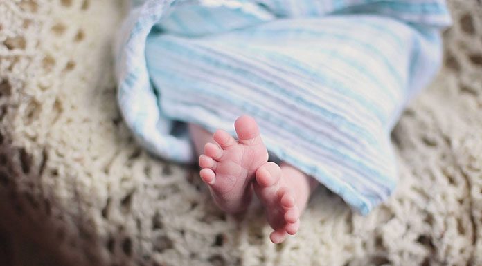 Materiał minky – co warto o nim wiedzieć?