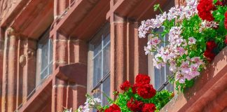 W jaki sposób osuszać mury domu?