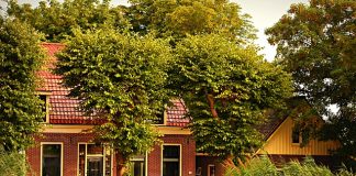 Jak kształtują się ceny mieszkań w stolicy