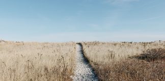 Gotycki Ratusz z 400-letnimi winami