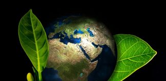 Rosnąca popularność sklepów z używaną odzieżą