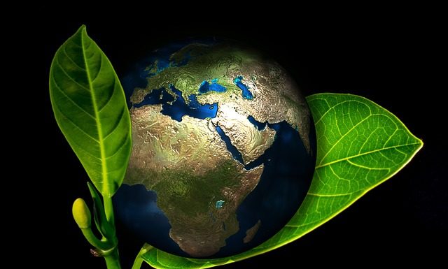 Rosnąca popularność sklepów z używaną odzieżą Rosnąca popularność sklepów z używaną odzieżą