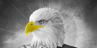 Masowość społeczeństwa we współczesności