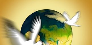 Społeczeństwo – razem czy osobno?