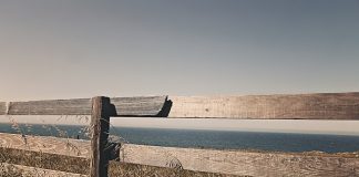 Jak pielęgnować schody drewniane?