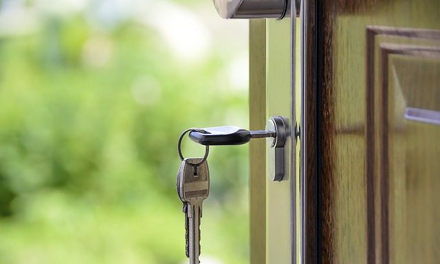 Kominki gazowe i na drewno