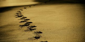 Wakacje na własną rękę