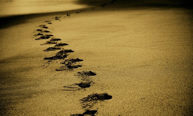 Wakacje na własną rękę