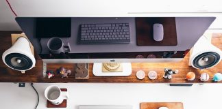 Kilka opowieści o owadach