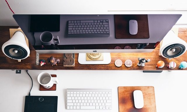 Kilka opowieści o owadach