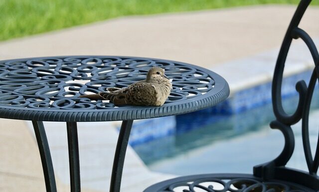 Czy na basenie można kąpać się w spodenkach?