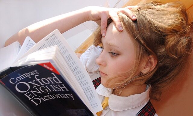 Z jakiego języka pochodzi słowo brosze? Z jakiego języka pochodzi słowo brosze?