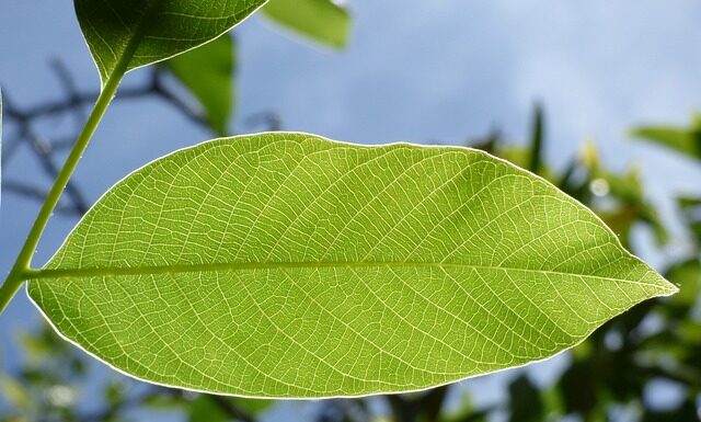 Jakie są konsekwencje za jazdę samochodem bez kratki? Jakie są konsekwencje za jazdę samochodem bez kratki?