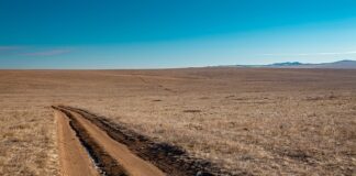 Na co pomaga noszenie złota?