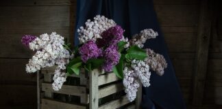 Co włożyć do skrzynki dla rodziców?