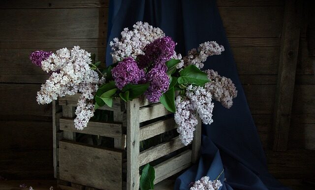 Co włożyć do skrzynki dla rodziców? Co włożyć do skrzynki dla rodziców?