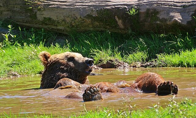 Jak odświeżyć samochód? Jak odświeżyć samochód?