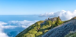 Jaka jest różnica między Tobi a Tobi 2?