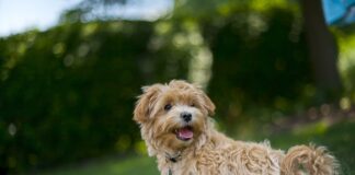 W czym spać w upały?