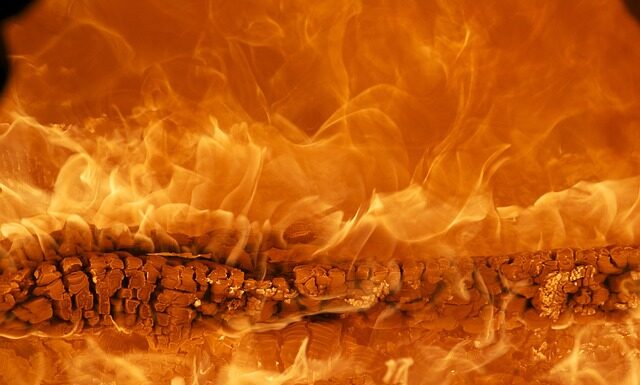 Jaka jest najpopularniejsza marka butów? Jaka jest najpopularniejsza marka butów?