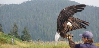 Jaką biżuteria jest modna w 2023 roku?