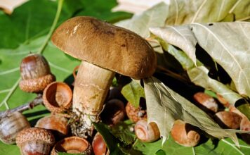 Czym wycinać w filcu?