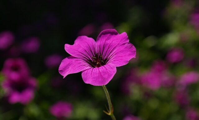 Co pasuje do szerokich spodni męskich? Co pasuje do szerokich spodni męskich?