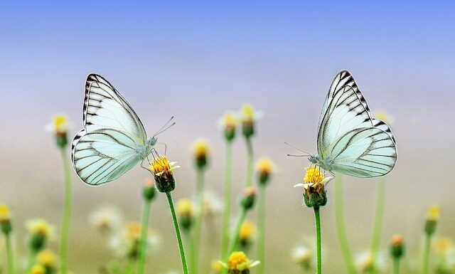 Co będzie modne wiosna lato 2023? Co będzie modne wiosna lato 2023?