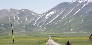 Czym się różni Straight od regular?