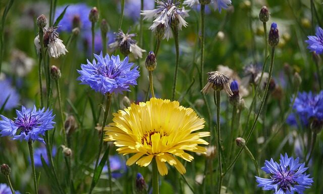 Jak się odpowiada na co tam? Jak się odpowiada na co tam?