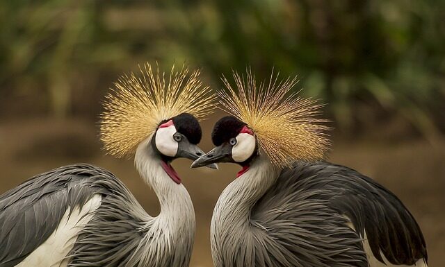 Jak wygląda prawidłowe nakrycie stołu? Jak wygląda prawidłowe nakrycie stołu?