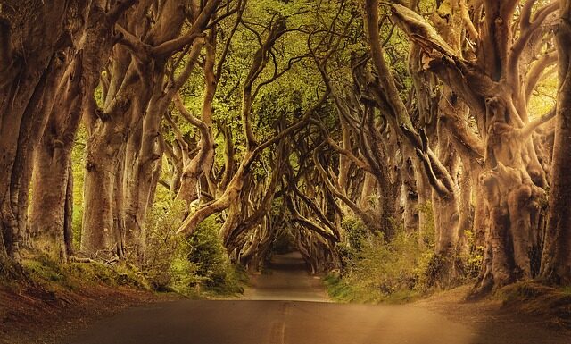 Co się daje na wiejski stół? Co się daje na wiejski stół?