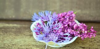 Co zrobić z kwiatami po ślubie?