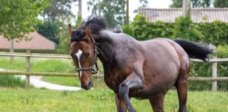 Czy biegać w czapce?