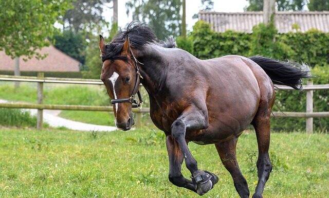 Czy biegać w czapce?
