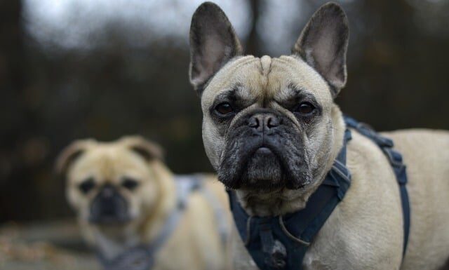 Jakie majtki na płaską pupę? Jakie majtki na płaską pupę?