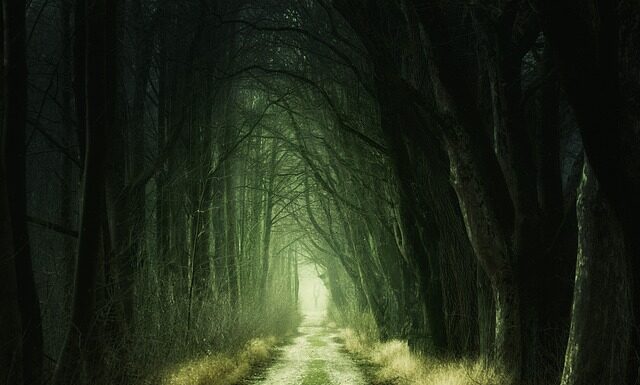 Czy zielony kolor jest modny? Czy zielony kolor jest modny?