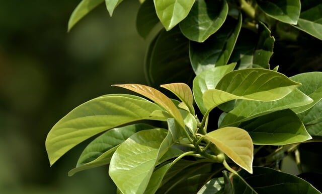 Ile w pasie do wzrostu? Ile w pasie do wzrostu?