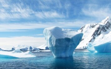 Jaki kolor czapki pasuje do czarnej kurtki?