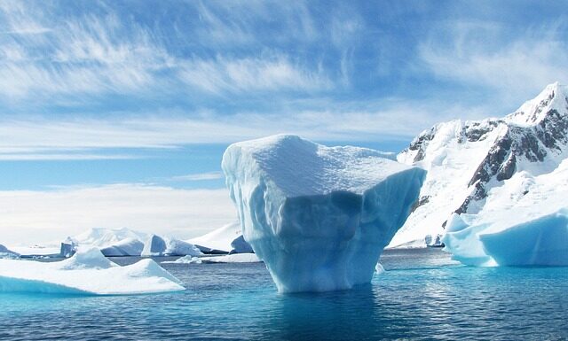 Jaki kolor czapki pasuje do czarnej kurtki?
