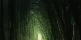 Czy zielony i niebieski do siebie pasują?