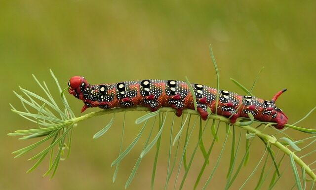 Czy w bransoletce Pandora można spać? Czy w bransoletce Pandora można spać?