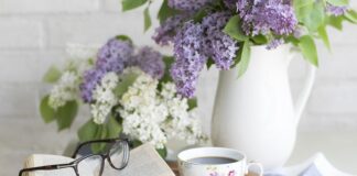 Jak się czyta chinosy?