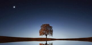 Jaką moc ma perła?