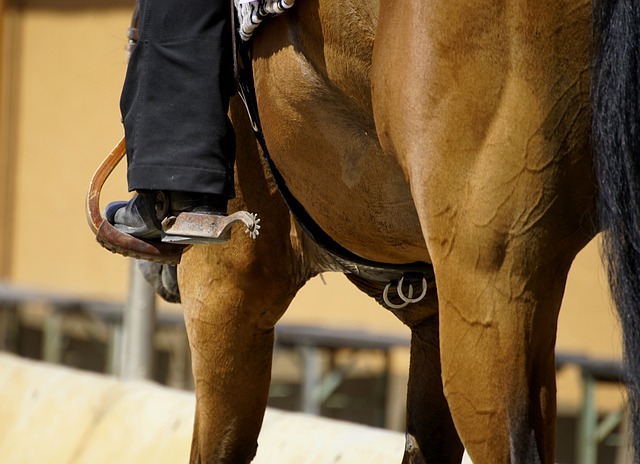 Jak prawidłowo zakładać czapkę? Jak prawidłowo zakładać czapkę?
