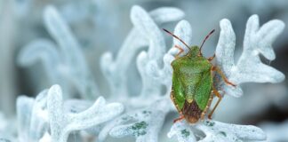 Gdzie można kupić tanie dresy?