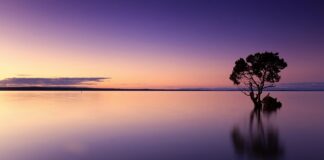 Czy można wziąć wodę święconą z kościoła?