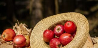 Czy kapelusz pasuje do kurtki?