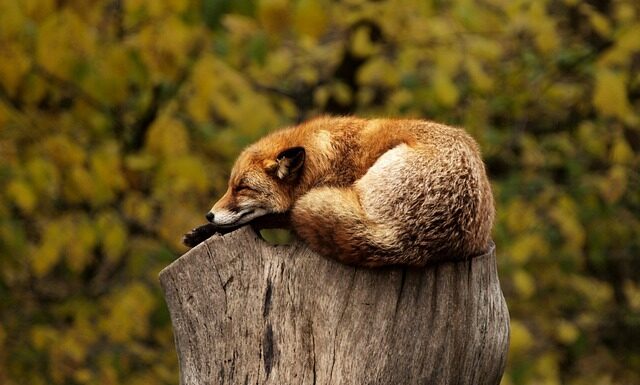 Co to jest relaxed fit? Co to jest relaxed fit?